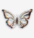 Farfalla Ali Larghe