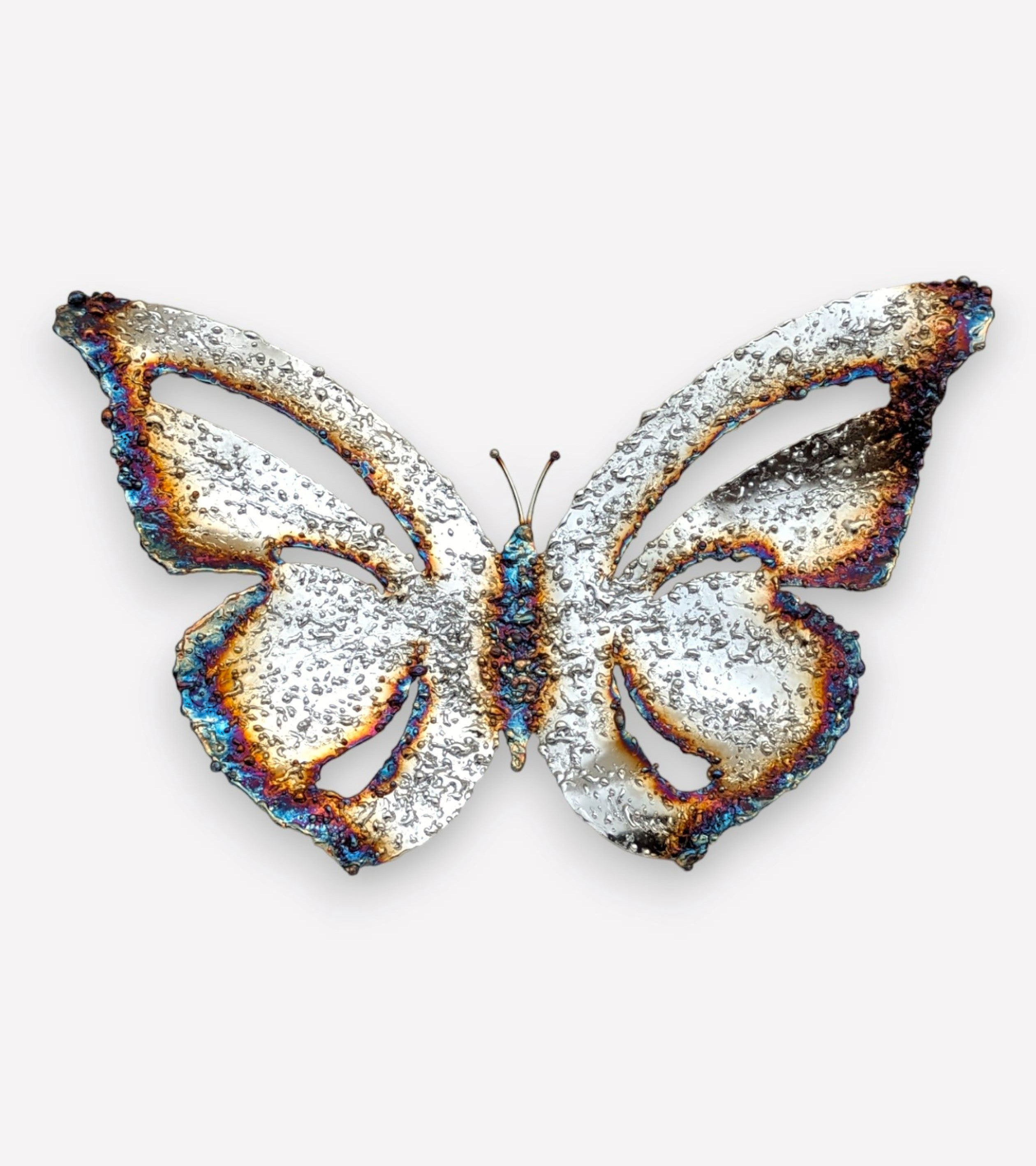 Farfalla Ali Larghe